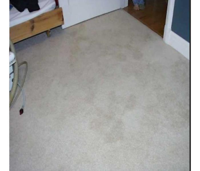 Cleaned carpet 